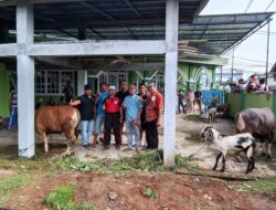Masjid Al-Mukhlisin Kurban Tiga Ekor Sapi Dan 8 Ekor Kambing