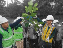 Bukit Asam (PTBA) Ubah Lahan Bekas Tambang Jadi Kebun Buah