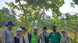 Bukit Asam (PTBA) Sukses Pulihkan Daerah Aliran Sungai 234 Ha di Muara Enim