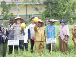 Pj Wako Bersama Kapolres Lubuk Linggau Melaksanakan Panen Raya Padi Dan Semangka Di Kelurahan Eka Marga