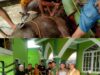 Masjid Al Mukhlisin Kelurahan Puncak Kemuning Kurban 4 Ekor Sapi, 7 Kambing