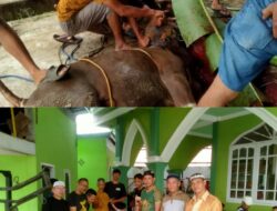 Masjid Al Mukhlisin Kelurahan Puncak Kemuning Kurban 4 Ekor Sapi, 7 Kambing
